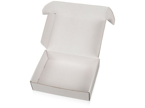 Коробка подарочная Zand M, белый