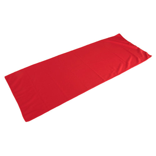 Спортивное полотенце в пластиковом боксе с карабином "ACTIVE", микрофибра, пластик, 30*88 см. красн (красный)