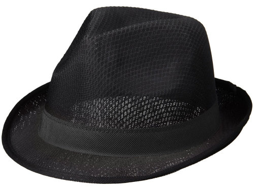 Лента для шляпы Trilby, черный