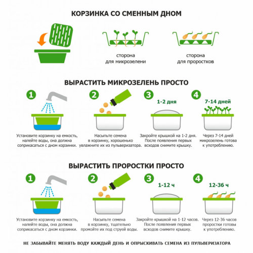 Подарочный набор для проращивания микрозелени: проращиватель, семена руколы (зеленый, бежевый)